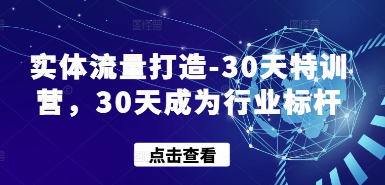 实体流量打造-30天特训营，30天成为行业标杆-灵创汇