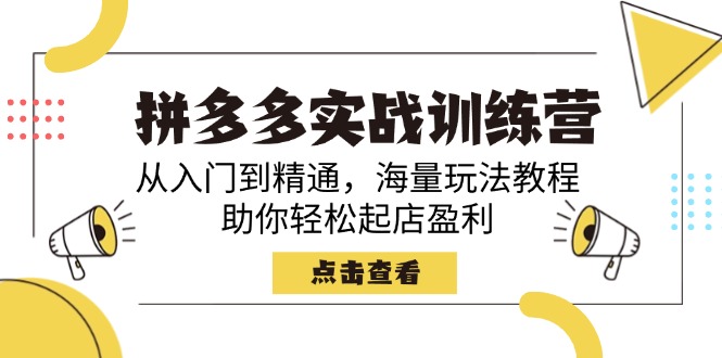 （14392期）拼多多实战训练营，从入门到精通，海量玩法教程，助你轻松起店盈利-灵创汇