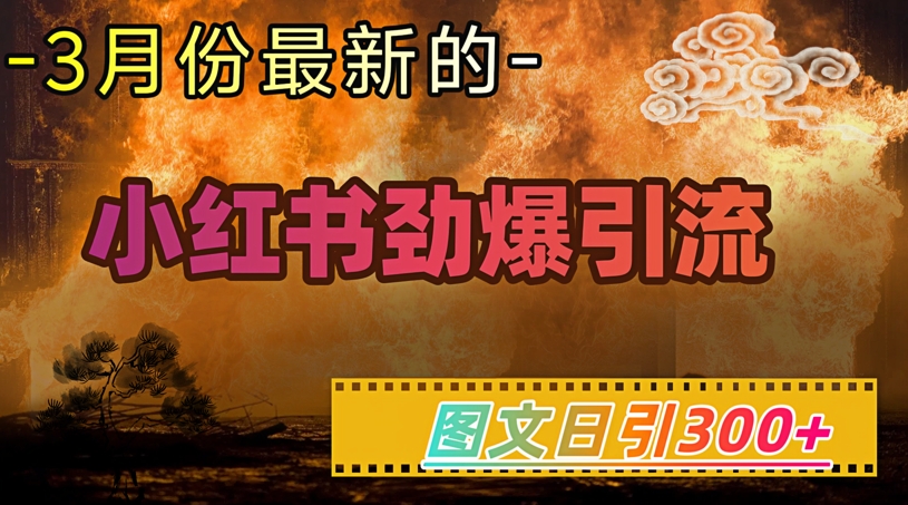 小红书超劲爆引流手段，图文日引300+轻松变现1W-灵创汇