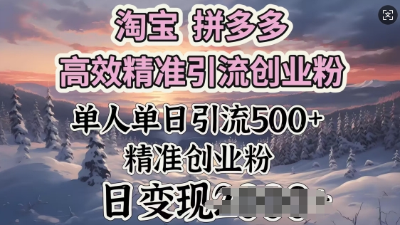 淘宝拼多多高效精准引流创业粉，单人单日引流500+创业粉，日变现多张-灵创汇