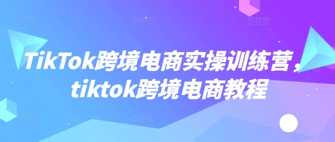 TikTok跨境电商实操训练营，tiktok跨境电商教程-灵创汇