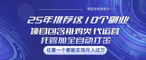 25年推荐这10个副业项目包含褂鸡类、代运营托管类、全自动打金类【揭秘】-灵创汇