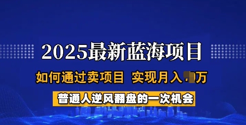 2025蓝海项目，普通人如何通过卖项目，实现月入过W，全过程【揭秘】-灵创汇