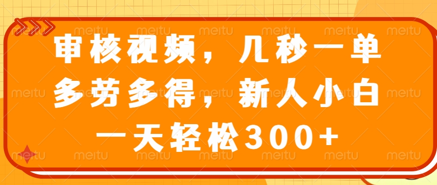 （14294期）审核视频，几秒一单，多劳多得，新人小白一天轻松300+-灵创汇